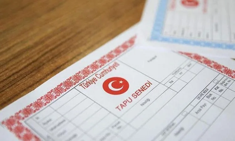 Tapu İşlemleri, Kredi Kullanımı ve Ev Alma Masrafları: Bilmeniz Gerekenler